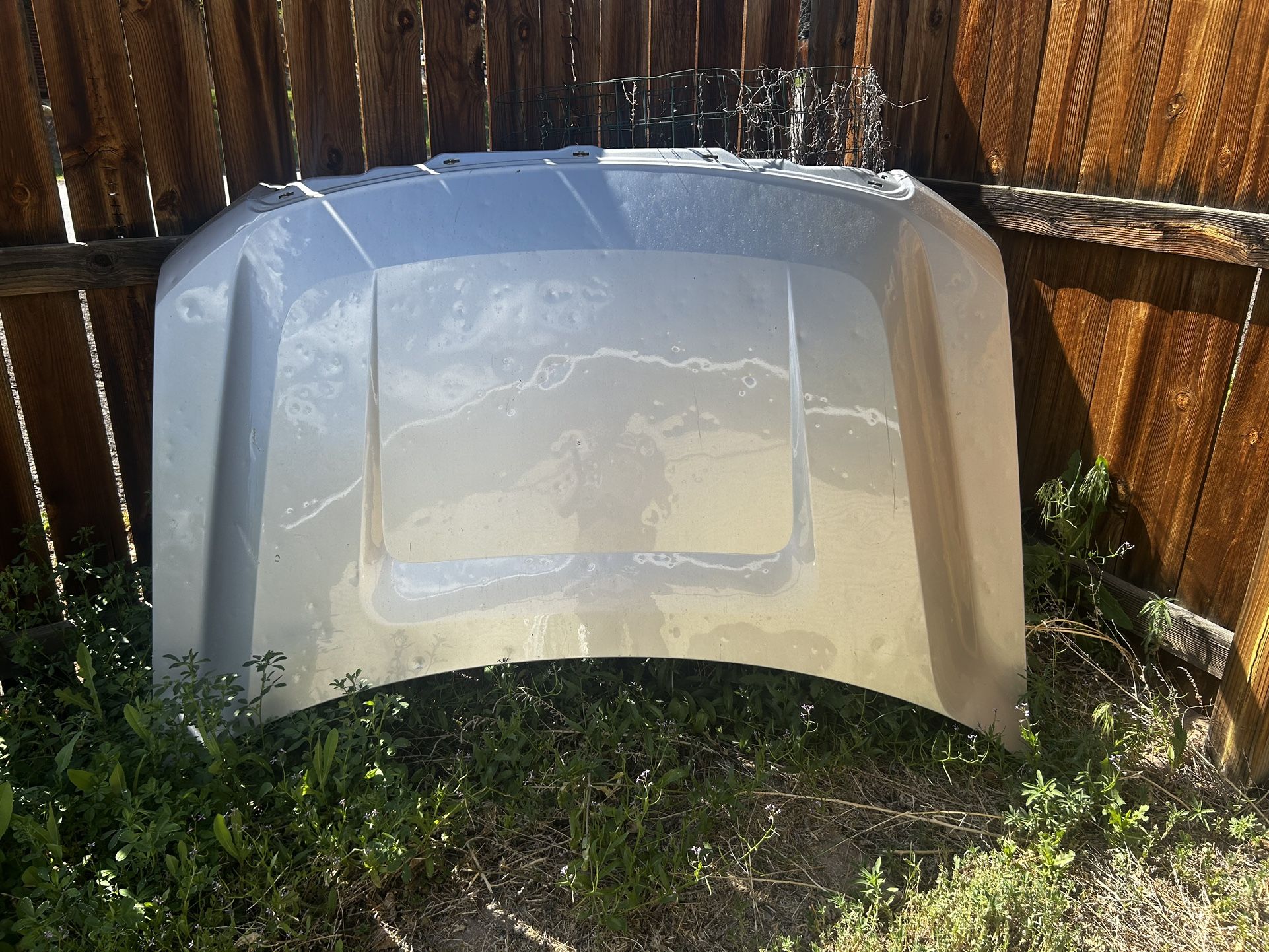 2012 F150 Hood