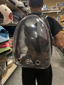 Cat backpack