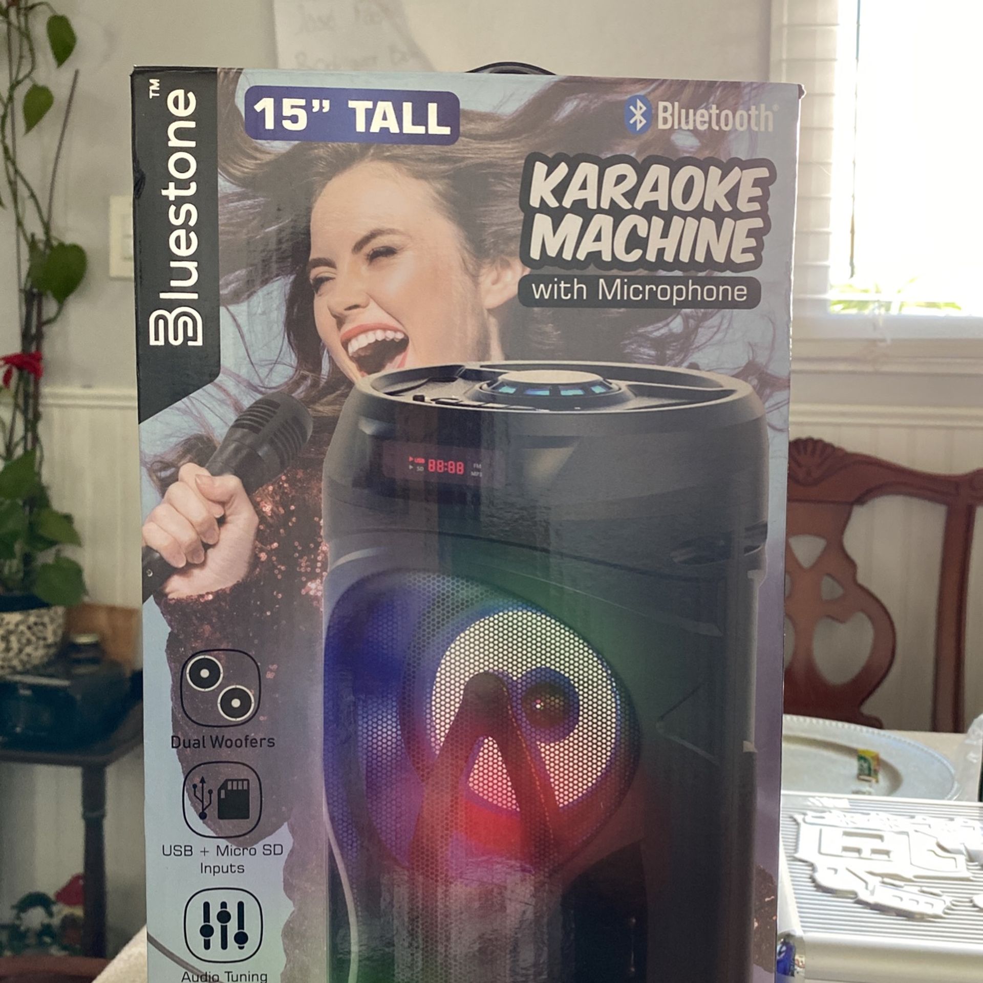 Bluestone Bluetooth Karaoke Machine With Microphone