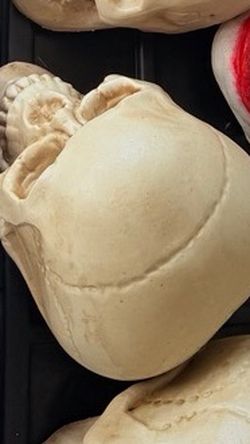 Halloween Skull Prop Large