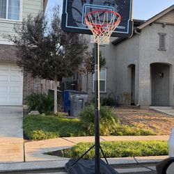 Basketball Hoop