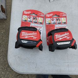 Milwaukee Husky