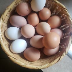 Farm Eggs