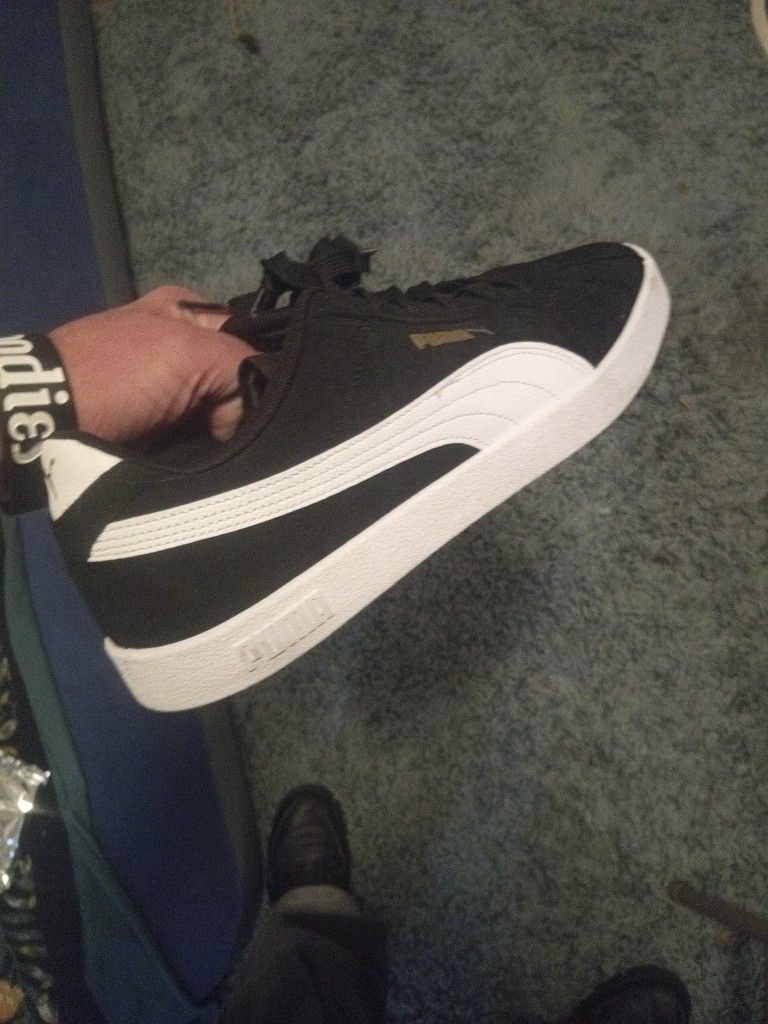 new pumas