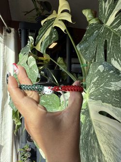 Hello Kitty Bracelet $5 