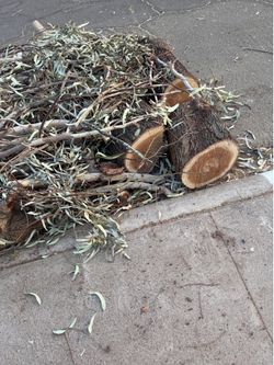 Free wood