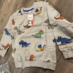 Dinosaur -Boys sweatshirt 7Y
