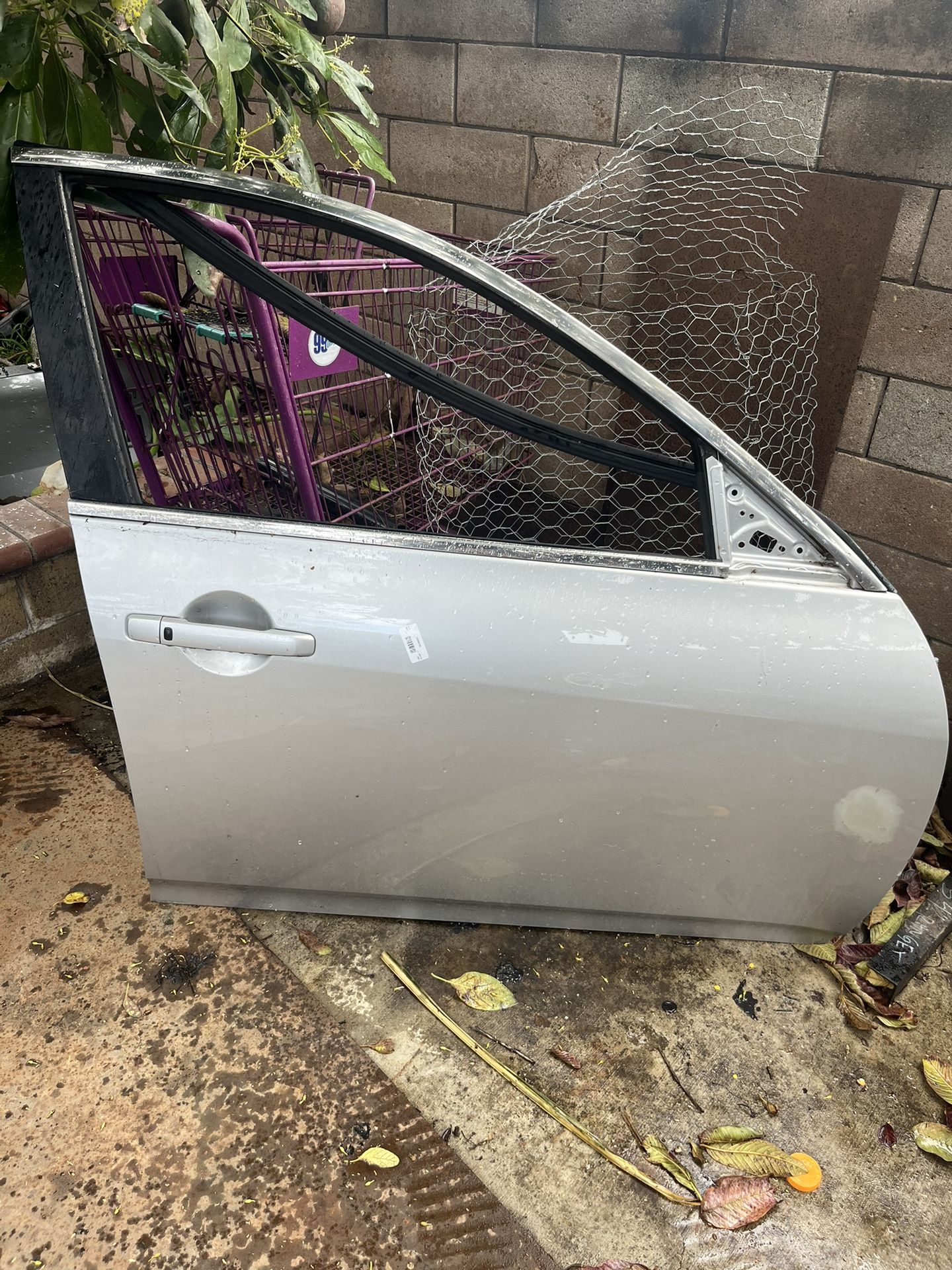 Infiniti Passenger Side Door 