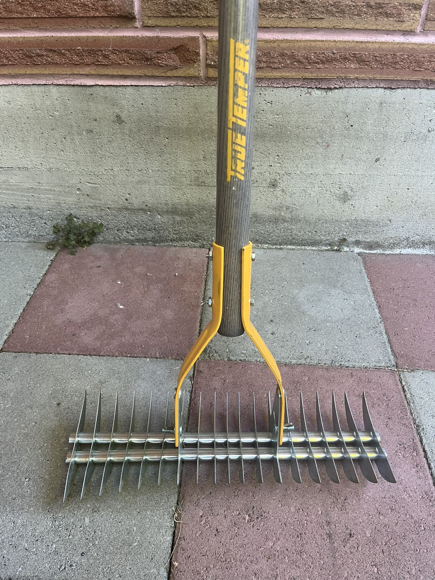 Free True Temper Thatcher Rake