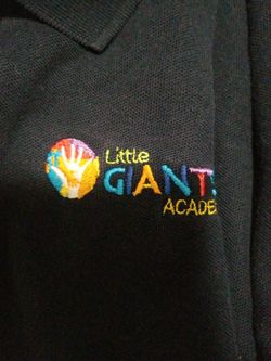 Little Giants Academy 