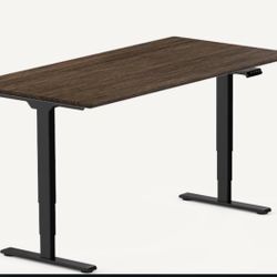 Flexispot E5 Standing Desk 63”X31”, Dark Bamboo