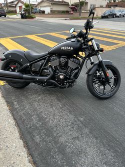 Indian Chief Dark Horse