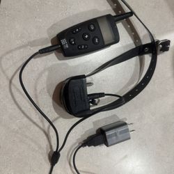 Dog Training Collar