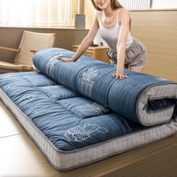 Futon Mattress 