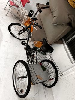 Adult tricycle