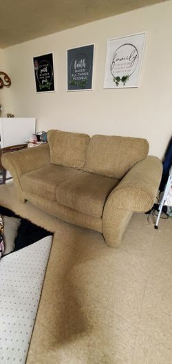 Loveseat & Reclainer