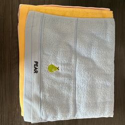 Ten Cute Brand New Fruit Washcloths And Rags