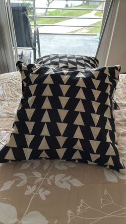 Two Decorative Pillows 