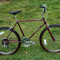 83 Schwinn Sidewinder ATB/MTB/BMX Cruiser 