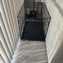 Petco Dog Cage
