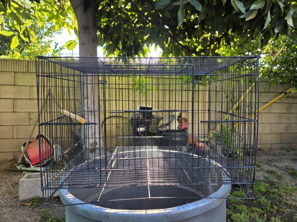 Bird Cage/Jaula Para Pájaros