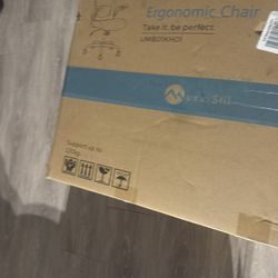 Ergonomic Chair Office Chair $200