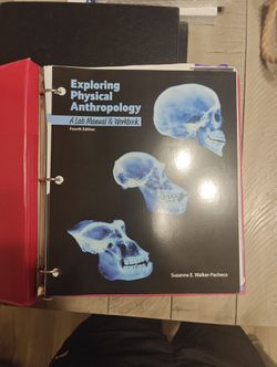 Exploring Physical Anthropology Lab Manual 4th Edition