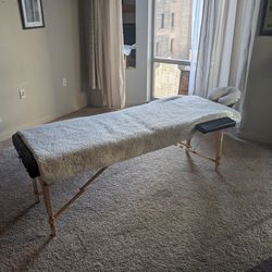 Professional Massage Table + Attachments (Adjustable Height)