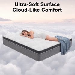 Twin Mattress, 8 Inch Pocket Coil Hybrid Queen Mattress, CertiPUR-US Foam, Roll in Box Medium Firm Bed for Bedroom RV Camper