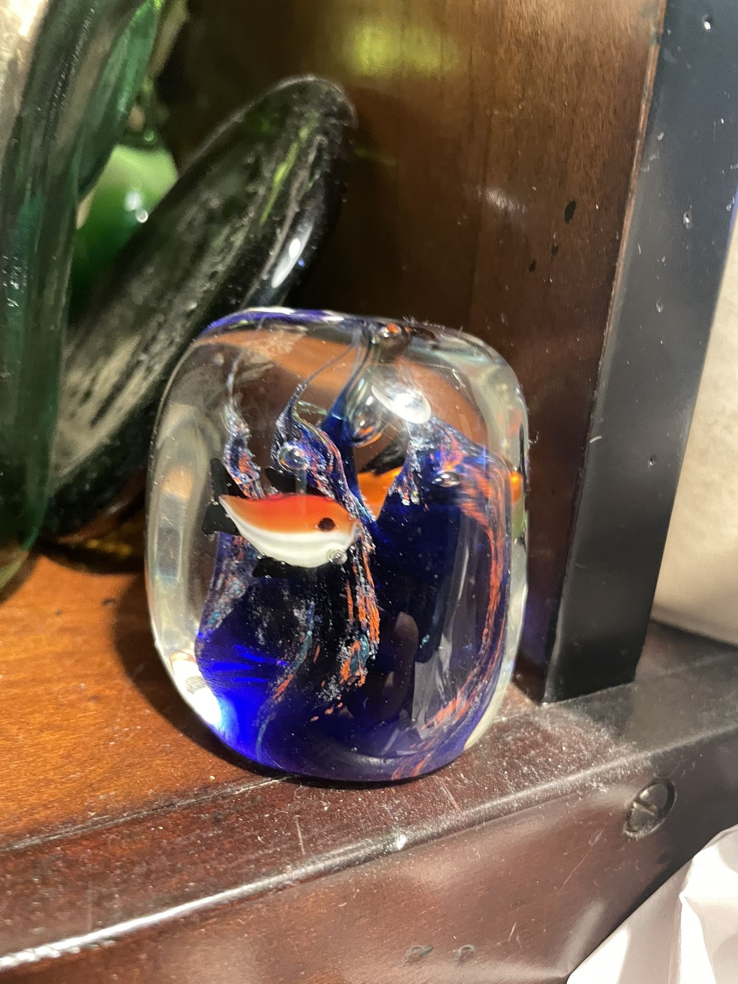 🚨VINTAGE Murano Studio Art Glass Paperweight Aquarium Fish Coral Ocean
