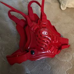 Wrestling Head Gear