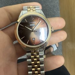 Brown Face Eco-Drive Citizen watch