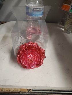 Rose With a Light In Side .  Perfect Present.