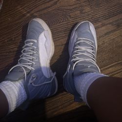stealth jordan 12