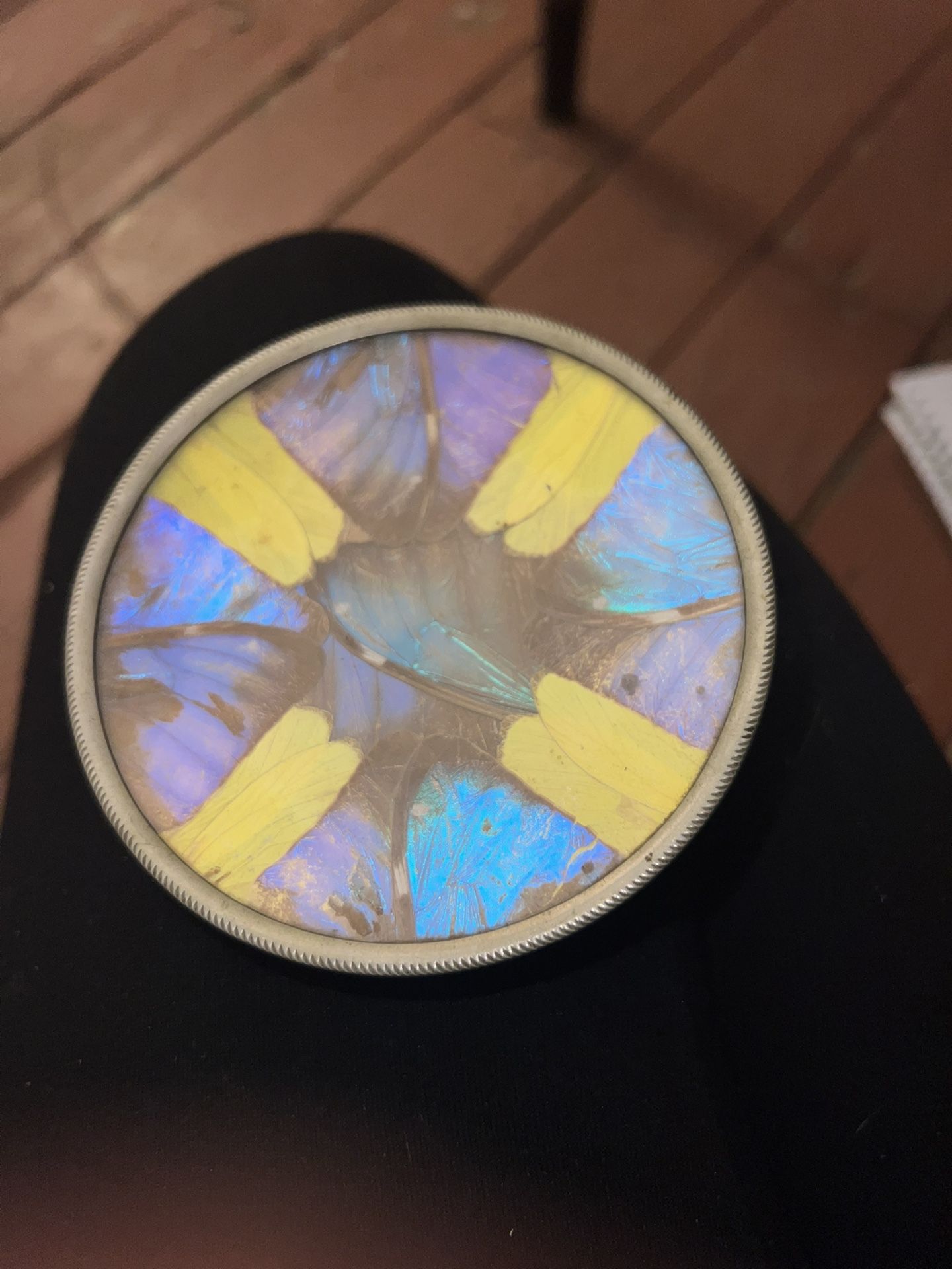 Butterfly Wing Art