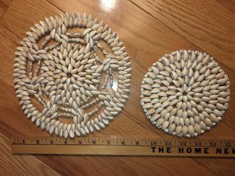 2 Shell Coaster 8in And 6in