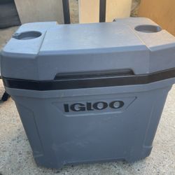 Igloo Cooler 