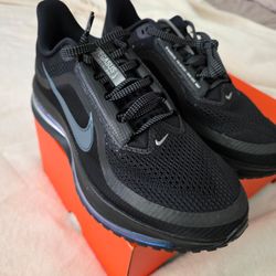 Nike pegasus premium