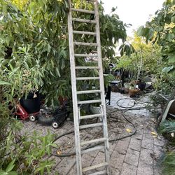 Vendo Esta Escalera De Aluminio… I’m Selling This Aluminum Ladder In North Rialto Ca For $20 Dls Price Firm