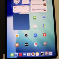 iPad Pro 13 M4 Unlocked 