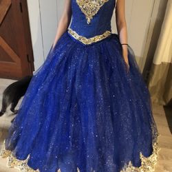 Quinceañera Dress (new)