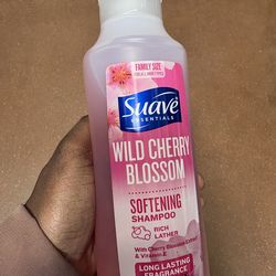 Wild Cherry Blossom 😍