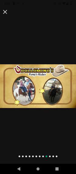 Bollomino’s pony’s Rides! 