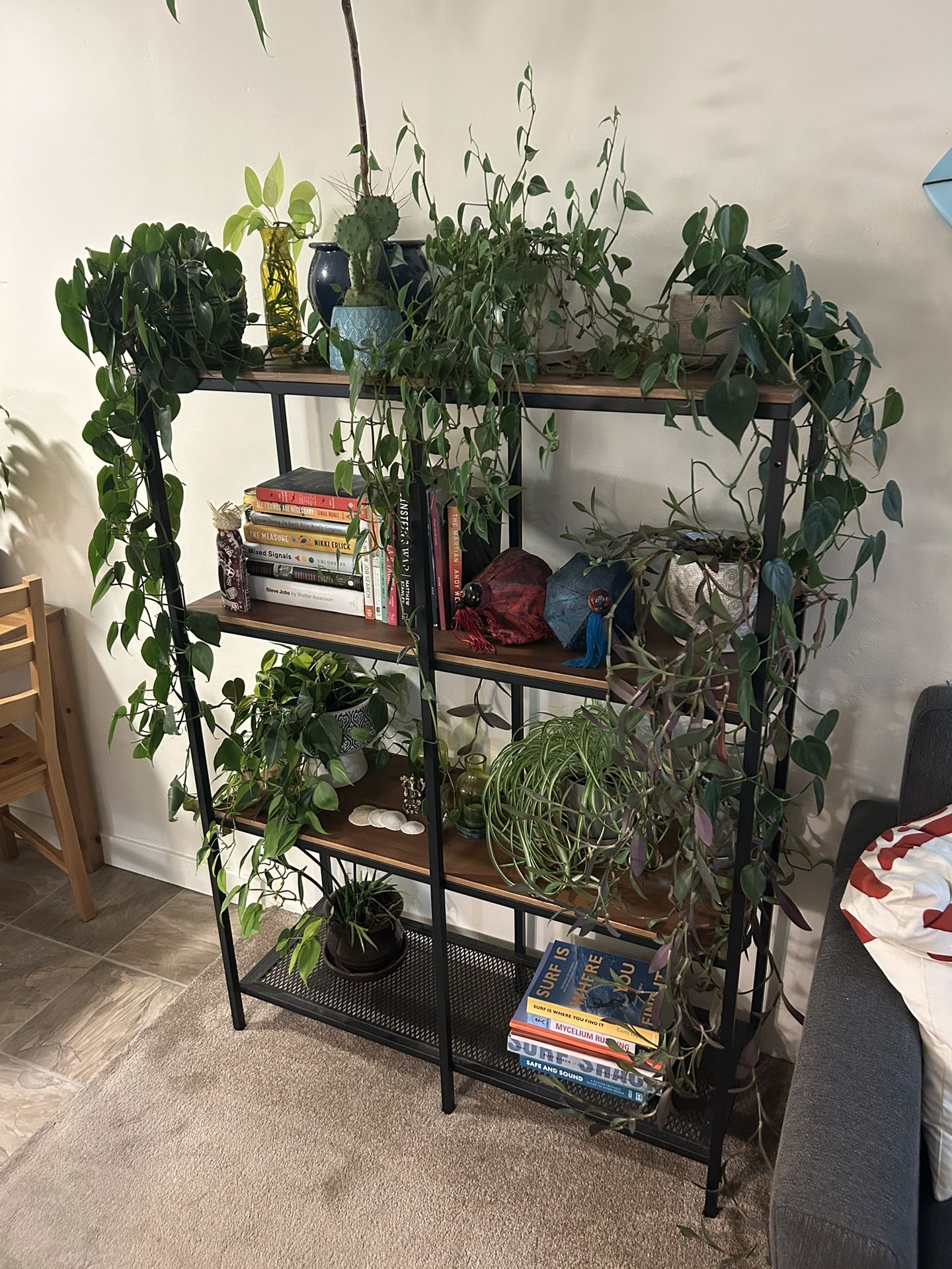 Bookshelf (4 Shelves) ( Things On Shelves Not Included:))