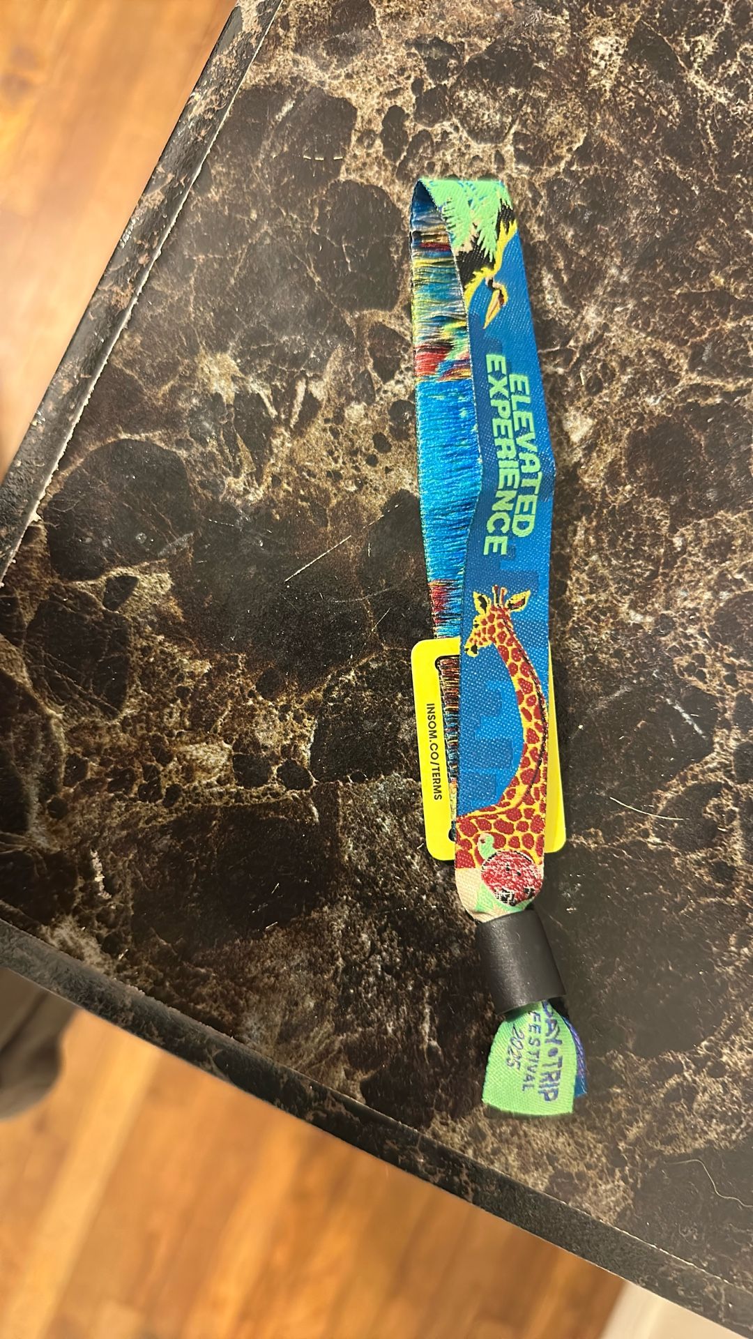 Day Trip 2day VIP
