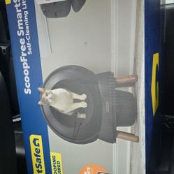 Self Cleaning Litter Box
