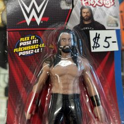 WWE Flexfigs 
