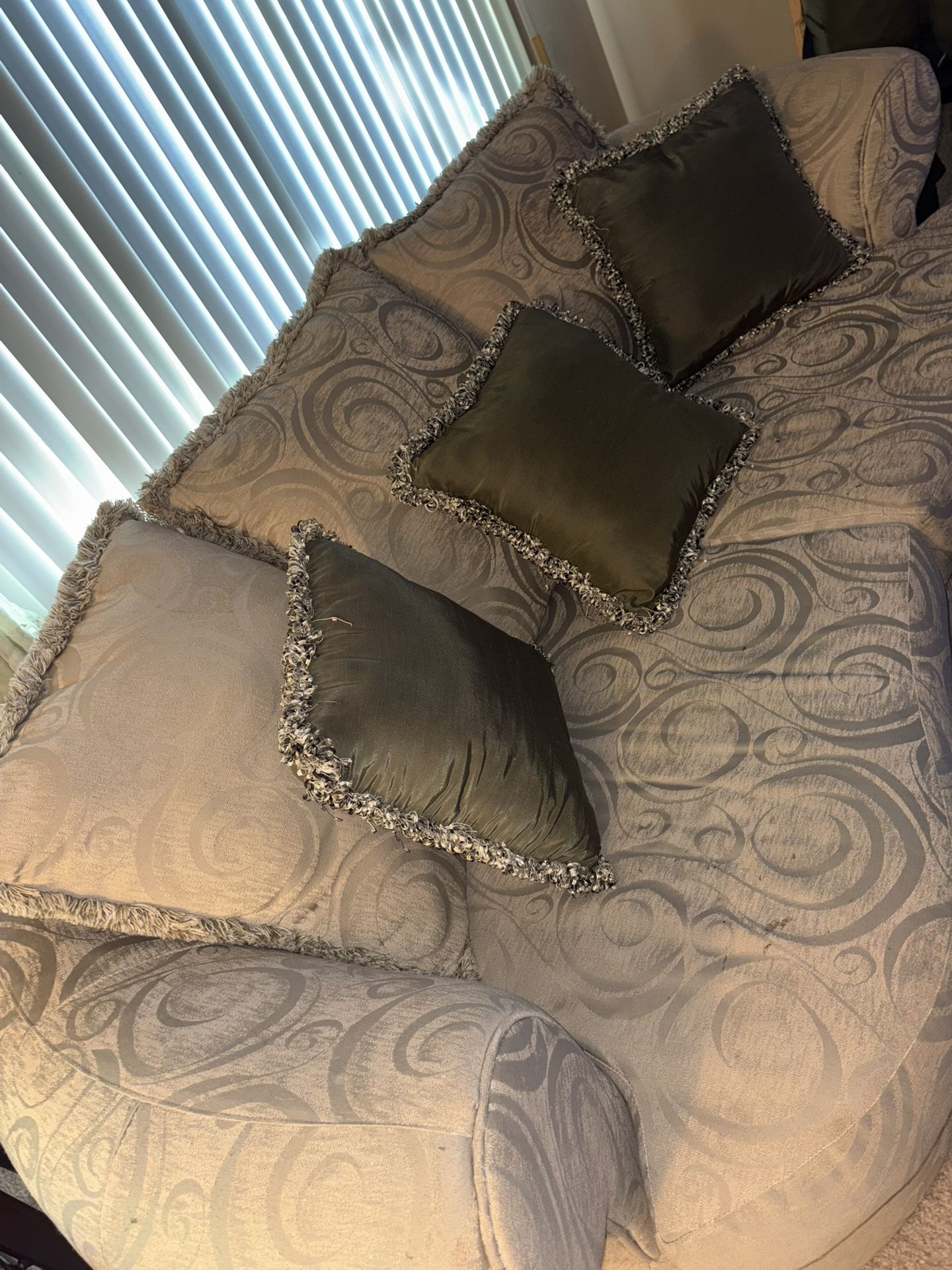 2 Matching Couches + Sage Shag Rug – $550 OBO