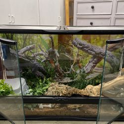 Glass Terrarium