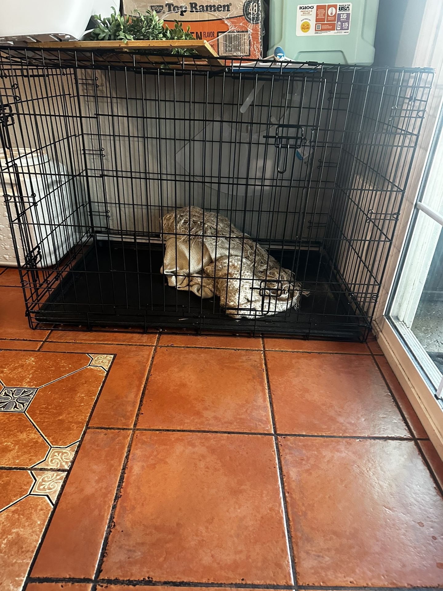 Dog Crate